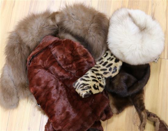A squirrel, fox cape, 4 hats and various collars